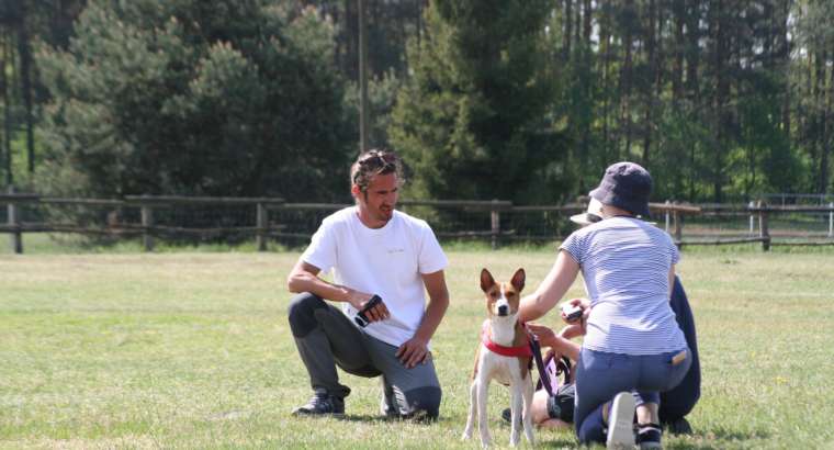 Dalle Classi a …Relazioni in Campo