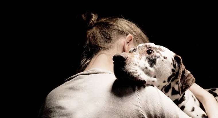 Cosa succede quando il nostro cane ci aggredisce?