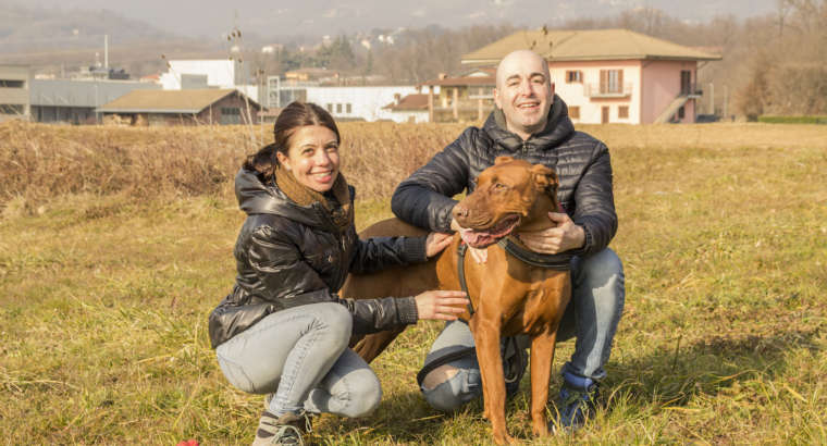 Perché decidiamo di prenderci un cane?